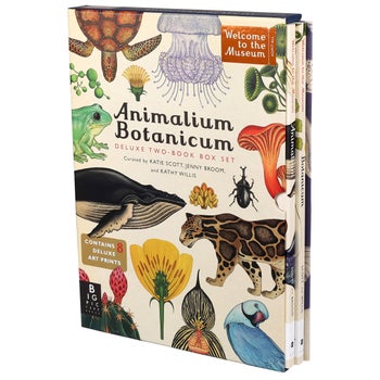 ボタニカム アニマリウム 2冊セット ケイティ スコット 汐文社 Animalium Botanicum: 2 Book Set | Costco