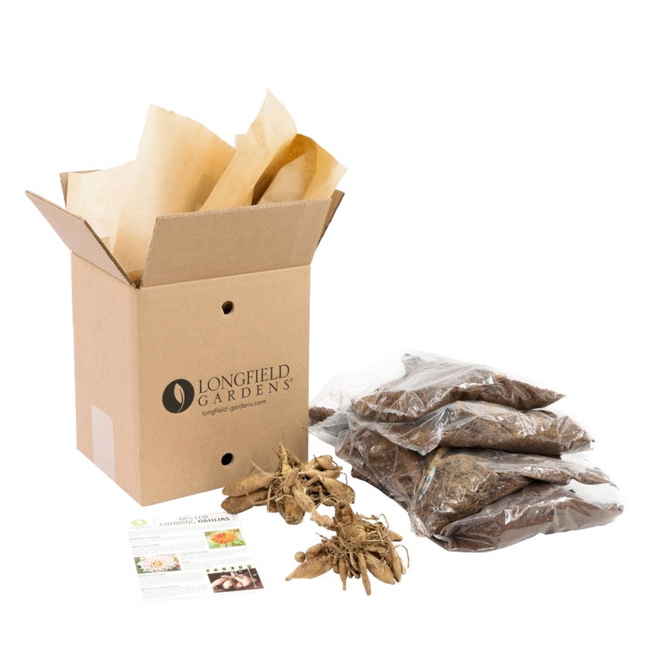 Enlarge Product Preview 7