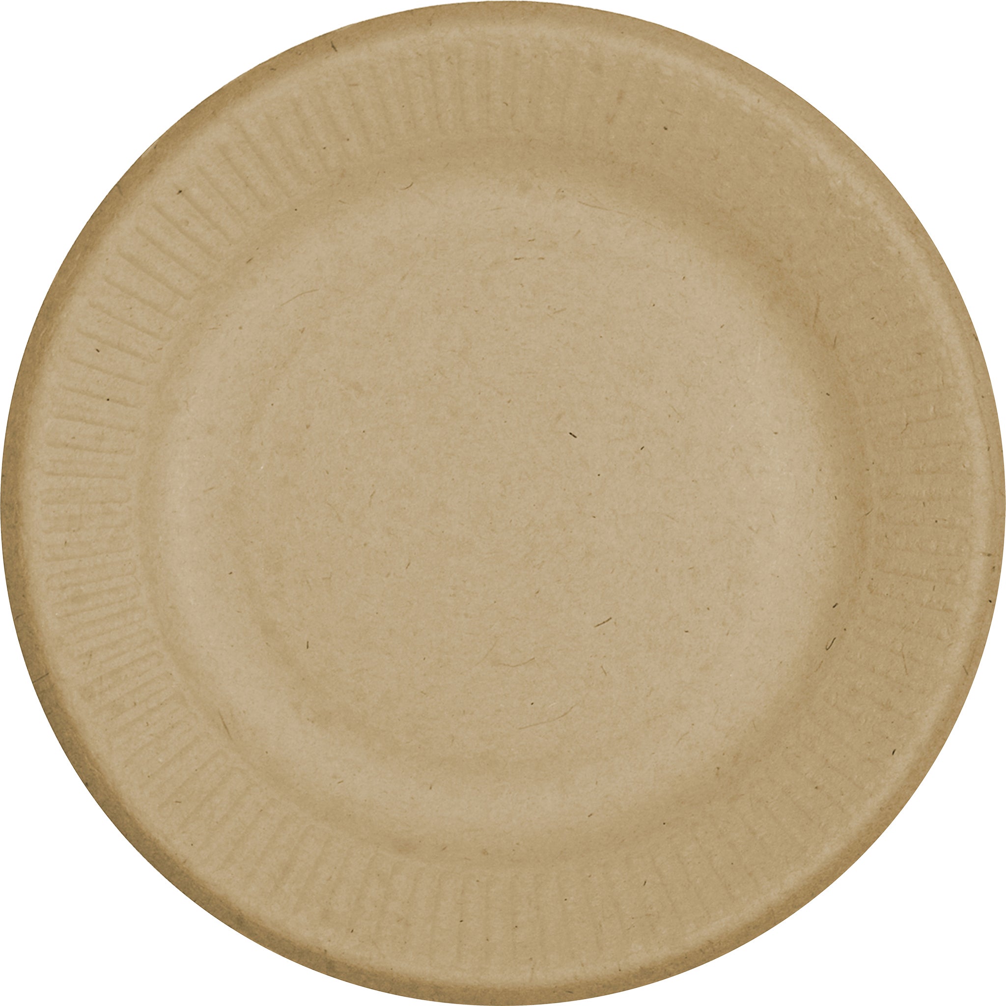 WORLD CENTRIC 9" PLATE 250 COUNT