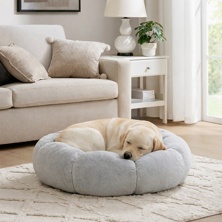 What Is the Friends Forever Dog Bed?