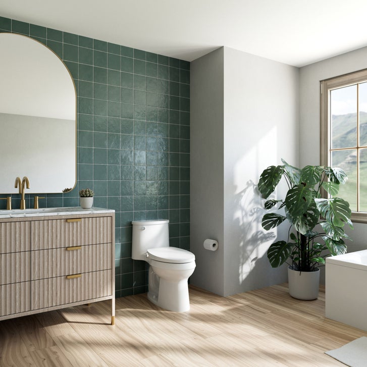 Brondell Swash CL150 Elongated Bidet Toilet Seat | Costco
