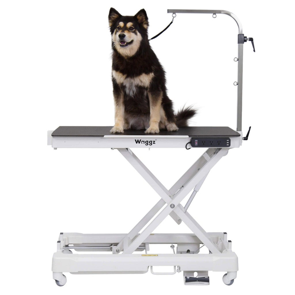 【Pet Table Maki】　中型犬用　No.1680 Waggz Roll-Light Electric Dog Grooming Table | Costco